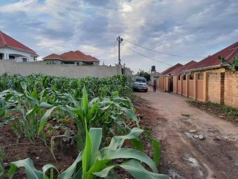 Namugongo Neighbourhood: Your Affordable Oasis in Wakiso District
